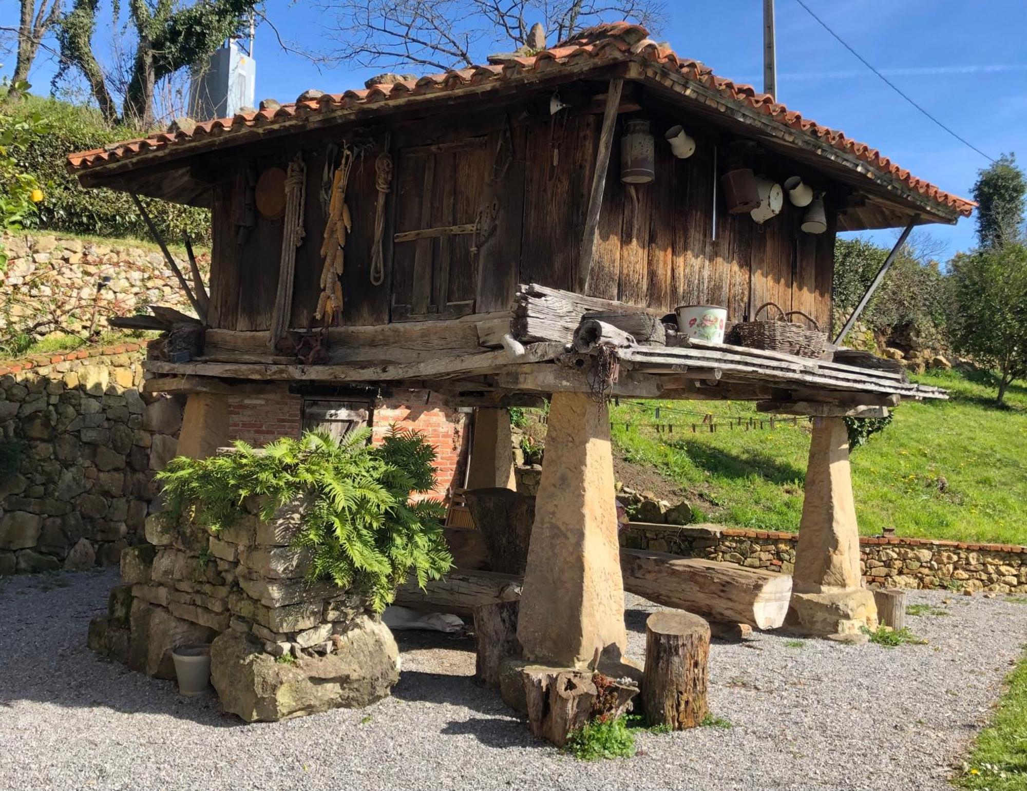 San Pedro  Casa Rural Trebol4Hojas المظهر الخارجي الصورة