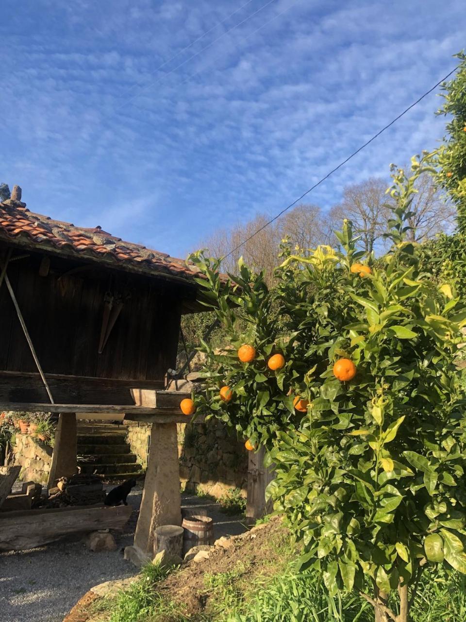 San Pedro  Casa Rural Trebol4Hojas المظهر الخارجي الصورة